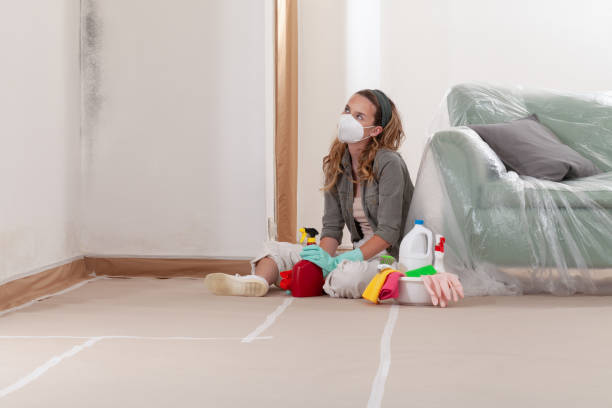 Reliable Mold Remediation contractor in Edgemere, MD by 24 Hour Mold Removal